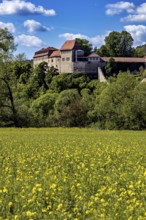 Majestic castle above a rapeseed field, surrounded by green nature under a blue sky, Creuzburg