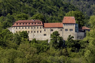 An impressive castle surrounded by dense forest and trees under a clear blue sky, Creuzburg Castle