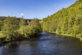 River in a green forest landscape under a clear blue sky, view from the historic Werra bridge over