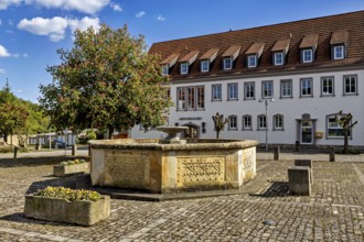Fountain on a cobbled square in front of a historic building with a red roof and flowering tree,