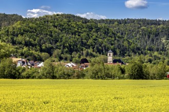Wide yellow fields in front of a village with a church tower, surrounded by forests and hills, The