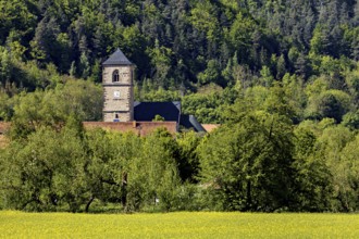 A church tower in front of a green forest, surrounded by numerous trees, The steeple of the