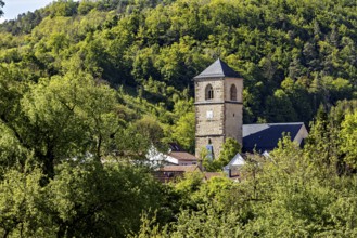 A church tower rises out of a dense forest, surrounded by green nature, the steeple of the