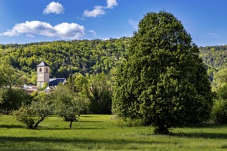 A large tree next to a meadow, with a church tower in the background, The steeple of the Protestant