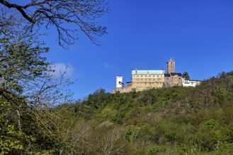 Castle enthroned on a wooded hill under a bright blue sky, Wartburg Castle near Eisenach in