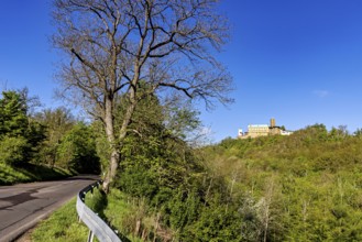Castle in the distance, next to a winding road, surrounded by trees, The Wartburg near Eisenach in