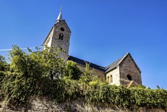 Historic church with striking stone architecture and vegetation in the foreground under a blue sky,