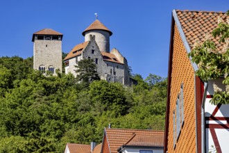 Historic castle with towers above a village with half-timbered houses and lots of greenery,