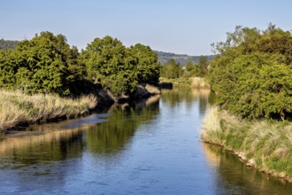 A quiet river, lined with dense trees, stretches through a peaceful landscape, Normannstein Castle