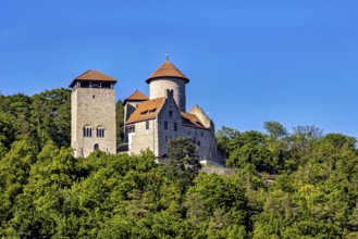 Historic castle in summer with recognisable watchtower, nestled in a forest landscape under a blue