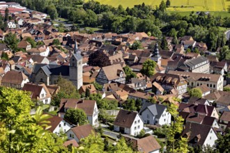 Panorama of a small town with a church, surrounded by fields and green countryside, The town of
