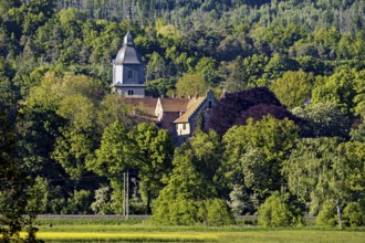 A church in the middle of a dense forest on a sunny day, The church tower of the castle church of