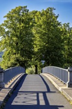 A quiet bridge with railings leads through green trees under a sunny blue sky, The Lauchröder