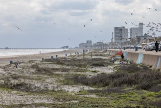 Sand beach and seawall along the Texas Gulf Coast at Galveston, Texas
