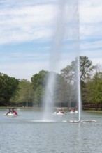 Young families piloting pedal boats around the fountain on Lake McGovern at Hermann Park in