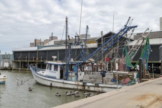 Commercial fishing boats docked next to Katie's Seafood House on the Galveston Channel in