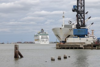 Royal Caribbean Adventure of the Seas cruise ship and a cargo ship at the Port of Glaveston, Texas