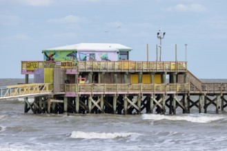 Pelicans and the Shark bar at the 61st Street Fishing Pier on the Texas Gulf Coast at Galveston,