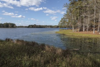 Archusa Creek Lake at Archusa Creek Water Park near Quitman, Mississippi