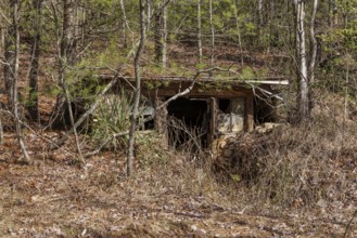 Abandoned root celler in the Chattahoochee National Forest near Blue Ridge, Georgia, USA