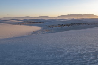 Smooth curved sand dunes in evening light at White Sands National Park in Alamogordo, New Mexico,