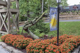 Sculpture of a boy chasing a dog chasing a cat up a tree at the Dollywood amusement park in Pigeon