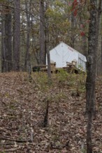 Tentrr glamping tent on a raised platform with a wooden porch at Clarko State Park near Quitman,