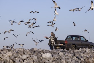 Man and woman tossing bread crumbs to sea gulls along the Mississippi Gulf Coast