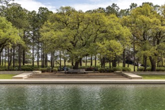 Live Oak trees line the sides of the Mary Gibbs and Jesse H. Jones Reflection Pool at Hermann Park