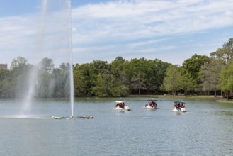 Young families piloting pedal boats around the fountain on Lake McGovern at Hermann Park in