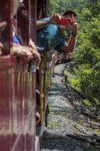 Man leaning out of the window of an open air train car of the Great Smoky Mountains Railroad to