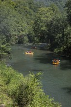 Rafters on the Nantahala River as seen from the Great Smoky Mountains Railroad which runs next to