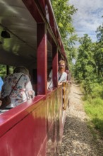 Young man leaning out the window of the open air car on the Great Smoky Moutains Railroad during an