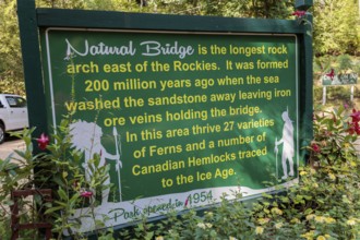 Sign at Natural Bridge Park describes the geology and natural vegetation within the park located