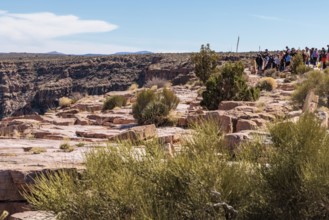 Visitors try to take photos of the canyon from a chained area nera the rim at the Eagle Point area