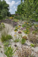 Perennial bed with drought-resistant plants, district educational garden, Burgsteinfurt, Steinfurt,