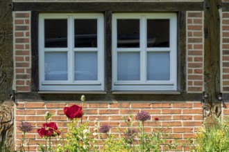 Half-timbered house façade with two small windows, district educational garden, Burgsteinfurt,