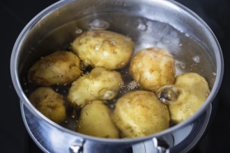 Nahaufnahme, Makro, Kartoffeln garen in kochendem Wasser in einem Kochtopf, Deutschland