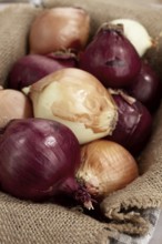 Various varieties of onions, in a basket, on a wooden surface, rustic style, close-up, no people