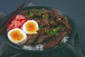 Udon Japanese beef with rice, pickled ginger, boiled egg slice, garnished with green onions, in a