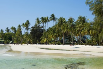 Sandy beach beach with coconut palms, Haad Khlong Hin Beach, Koh Kood, Koh Kut, Gulf of Thailand,