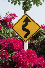 Traffic sign and bougainvillea, Ao Phrao Beach, sunset, Koh Kood, Koh Kut, Gulf of Thailand,
