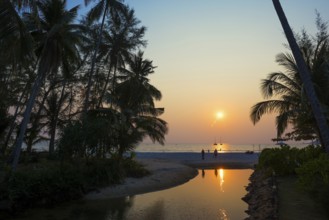 Sandy beach beach with coconut palms, Ao Phrao Beach, sunset, Koh Kood, Koh Kut, Gulf of Thailand,