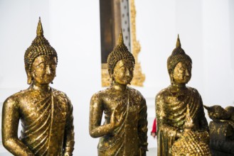 Golden Buddha statues, Wat Pho (Temple of the Reclining Buddha), Bangkok, Thailand