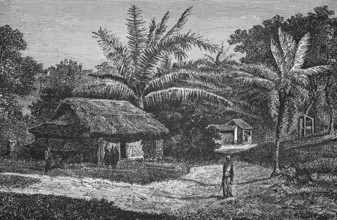 Village near Colombo, around 1870, Sri Lanka, digital reproduction of a historical model