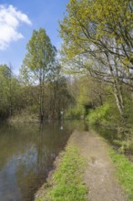 Newly created lake, flooded path, Ostholz nature reserve, Wickede, Dortmund, Ruhr area, Westphalia,