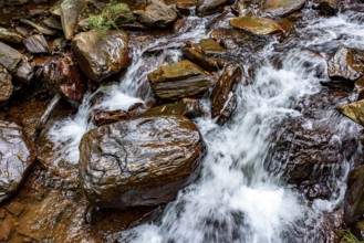Small stream of clear water flowing between the rocks in Minas Gerais, Minas Gerais, Brazil