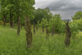 Schifflersgrund border museum memorial on the former border between the FRG and the GDR, Burnt