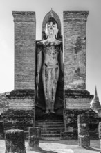 Stone Buddha statue in the historic Wat Mahathat Buddhist temple complex, historical park, black