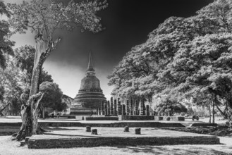 Historic Buddhist temple complex Wat Mahathat, black and white photo, historical park, Sukhothai,